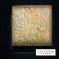 Exposition de Thảo Nguyên Phan au Palais de Tokyo - DSC 3087