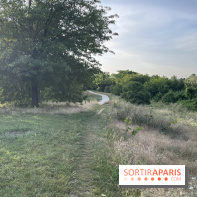 Le parc de l'Île-Saint-Denis - nos photos - 96DC1E52 629A 41C7 847C 4D6BC35C470A