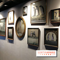 Levalet, expo Sabordage sur Fluctuart - 13