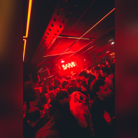 Nocturna au Medusarium De Paris : Une soirée house dans une boîte insolite de Paris - A7300326 Enhanced NR