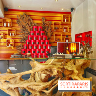 Arbre à sens - IMG 3066