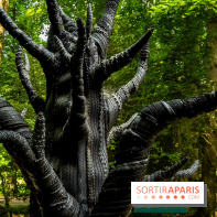 Grandeur Nature II, le festival d'art contemporain gratuit au parc du Château de Fontainebleau - A7C02377