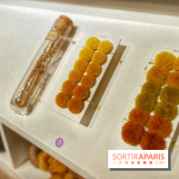 Tapisseries royales - IMG 3194