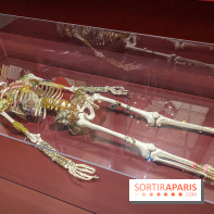 Exposition Art Brut au Grand Palais - IMG 6090