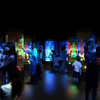 Disco Méduses à l'Aquarium Sea Life