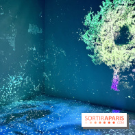 Topologie de l’Eau : Roches, Plantes et Vent - IMG 3242