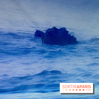 Topologie de l’Eau : Roches, Plantes et Vent - IMG 3250