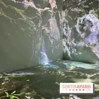 Topologie de l’Eau : Roches, Plantes et Vent