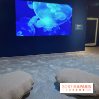 Transparence au Palais des enfants - nos photos - A9C8FEA1 98EA 4475 B97F A6EDF86F4C96