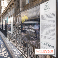 Hôtel de Ville - De Paris à Belem - Forêt Urbaine - Obey