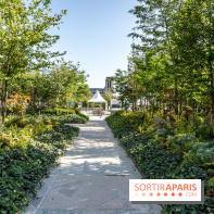 Hôtel de Ville - De Paris à Belem - Forêt Urbaine - Obey  - A7C03314