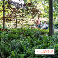 Hôtel de Ville - De Paris à Belem - Forêt Urbaine - Obey  - A7C03326