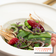 Maison Delano restaurant et terrasse cachée Paris 8e - Jardin des pois