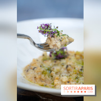 Maison Delano restaurant et terrasse cachée Paris 8e - céleri façon risotto