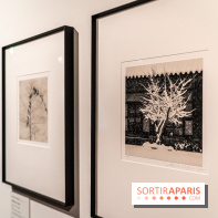 Exposition Haïkus d’argent, l’Asie photographiée par Michael Kenna au MuséeGuimet, les photos - A7C02203