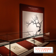 Exposition Haïkus d’argent, l’Asie photographiée par Michael Kenna au MuséeGuimet, les photos - A7C02215