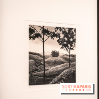 Exposition Haïkus d’argent, l’Asie photographiée par Michael Kenna au MuséeGuimet, les photos - A7C02221