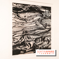 Exposition Haïkus d’argent, l’Asie photographiée par Michael Kenna au MuséeGuimet, les photos - A7C02222