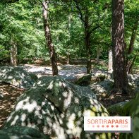 La Folie Barbizon, l'hôtel et restaurant renait entre art et nature - les photos  - A7C03869