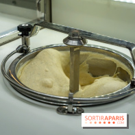 Pedone, le glacier Italien Paris 1er