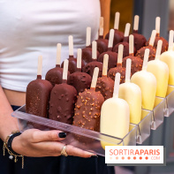 Chapon lance son bar à esquimaux cet été  - A7C04271