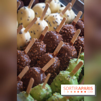 Chapon lance son bar à esquimaux cet été  - A7C04278