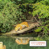 Adventure Boat : l’expérience immersive sur un bateau à Nogent-sur-Marne - IMG 6607