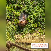 Adventure Boat : l’expérience immersive sur un bateau à Nogent-sur-Marne - IMG 6611