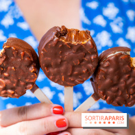 Les bouchées glacées de la Chocolaterie William Artigue, les esquimaux gourmands - A7C04191