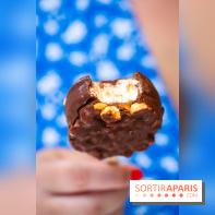 Les bouchées glacées de la Chocolaterie William Artigue, les esquimaux gourmands - A7C04201