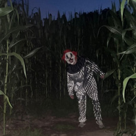 Pop Corn Labyrinthe Yvelines - 6