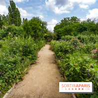Le Musée Stéphane Mallarmé - 77 - les photos - A7C02487