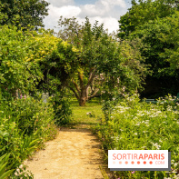 Le Musée Stéphane Mallarmé - 77 - les photos - A7C02489