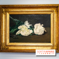 Le Musée Stéphane Mallarmé - 77 - les photos - A7C02434