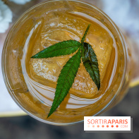 Frivole, restaurant festif, bar et terrasse cachée à Paris, les photos - A7C04326