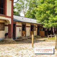Visite guidée de l'École Mlitaire d'Équitation - A7C02341