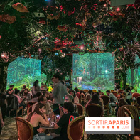 Wonderwoods - IMG 6786