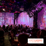 Wonderwoods