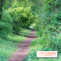 Le port de Valvins-les-Bains, les photos