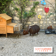 Jardin Junot - nos photos - A1394A7C BDBD 4D4A 8887 7AC4B5F47727