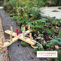 Jardin Junot - nos photos - 5F74B8D1 4757 4D84 A8B5 833BD15C25B7