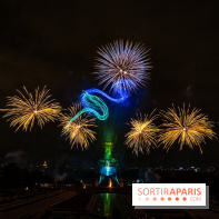 Le feu d’artifice du 14 juillet 2025 de Paris - les photos