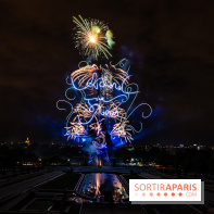 Le feu d’artifice du 14 juillet 2025 de Paris - les photos