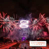 Le feu d’artifice du 14 juillet 2025 de Paris - les photos