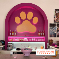 Patapwouf, le spot cani-friendly de Saint-Ouen - nos photos - 70F4A332 8ACC 468E 8D44 36AE509A2039