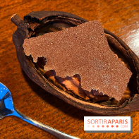 Machizo - Mousse chocolat, glace estragon