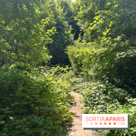 Paris-Rambouillet à pied - nos photos - 93669666 586D 4C43 B749 B8A3DD96A086