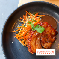 Shuzo - Chashu-Chicharron