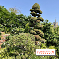 Maison musée Maurice Ravel - IMG 4207