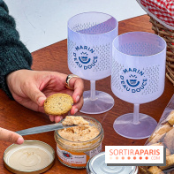 Base nautique de Bougival (78) : bateaux sans permis, aire de jeux et guinguette en bord de Seine - image00026